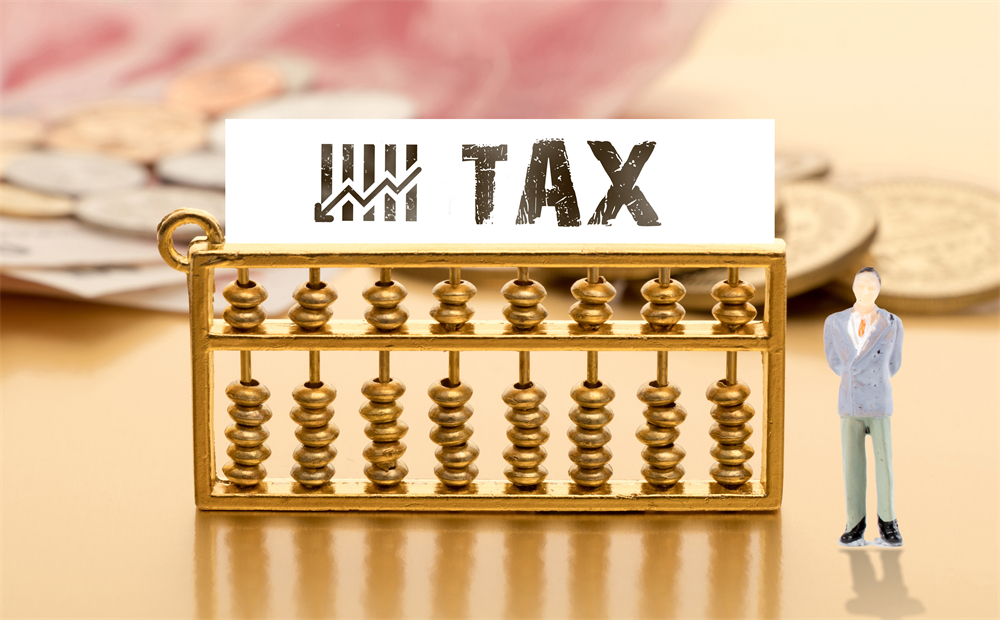 财税咨询公司业务范围揭秘：深入了解其提供的财税咨询服务